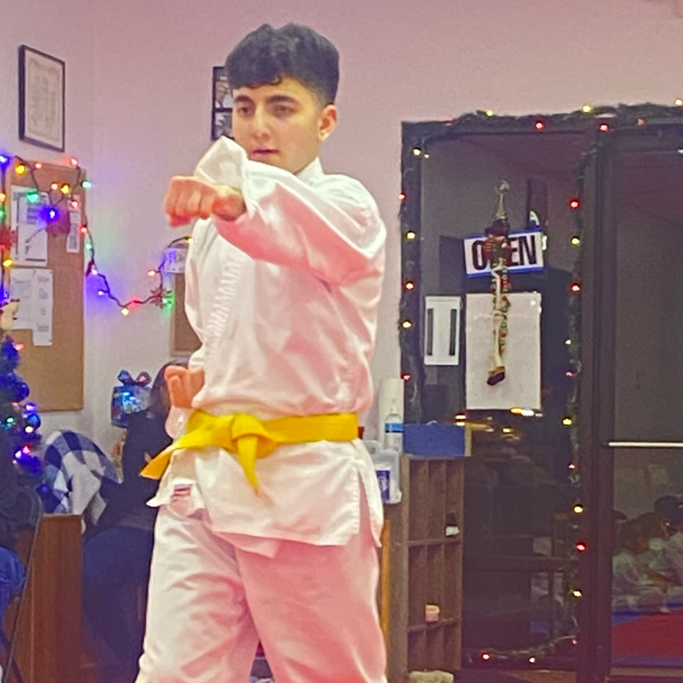 Karate Novi and self defense
